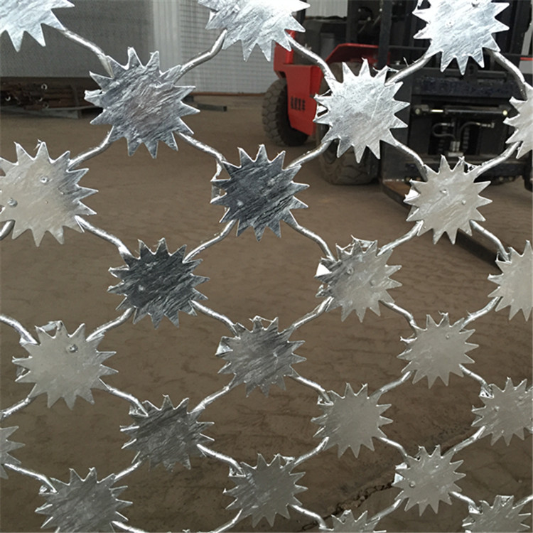 梅花刺隔離網安裝案例展示圖片3 梅花刺隔離網安裝案例展示圖片3