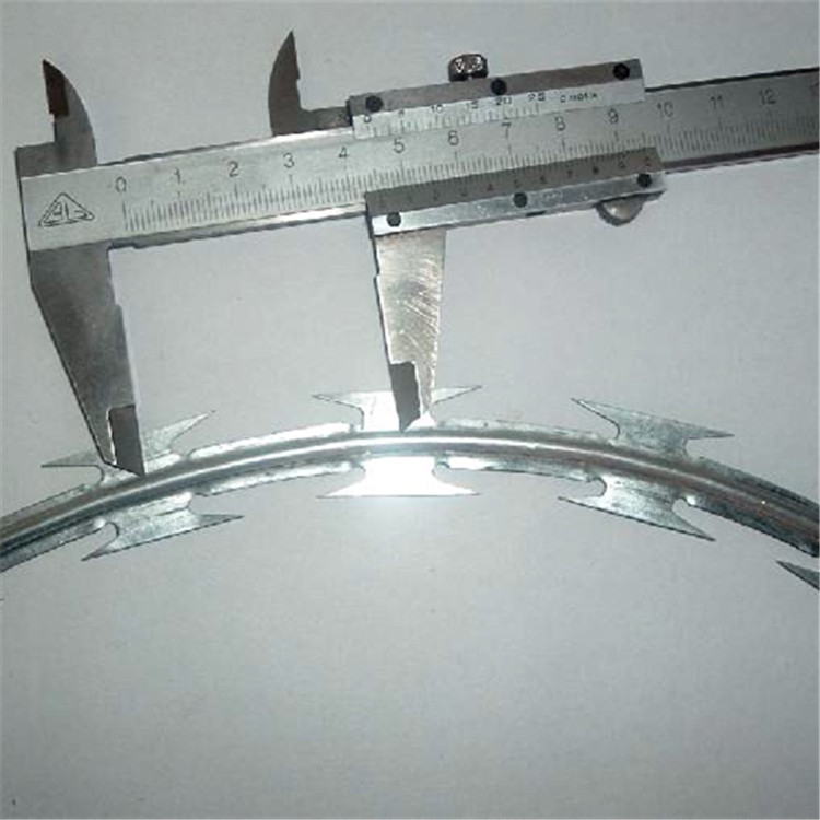  監獄鋼網墻刀片刺繩案例展示圖片4