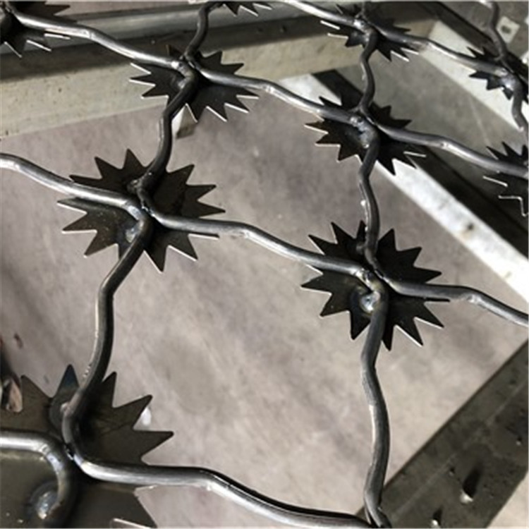 梅花刺隔離網案例展示圖片1 梅花刺隔離網案例展示圖片1