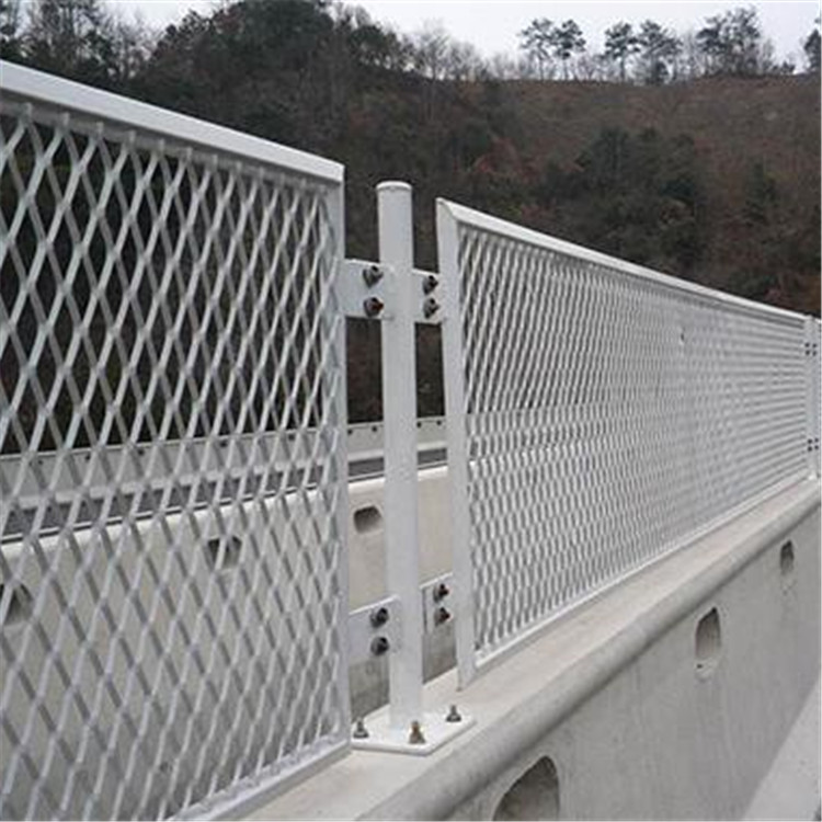 防眩網案例展示圖片4