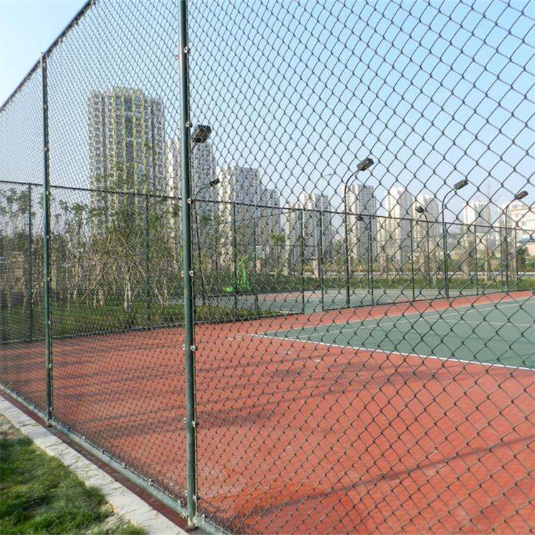 體育場(chǎng)圍網(wǎng)案例展示圖片4 體育場(chǎng)圍網(wǎng)案例展示圖片4